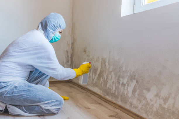 Licensed Crawl Space Mold Removal service in McSherrystown, PA - WQB Mold Removal
