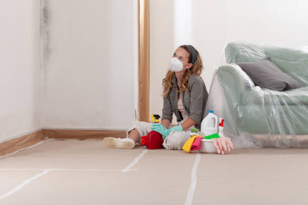 Reliable Crawl Space Mold Removal contractor in McSherrystown, PA by WQB Mold Removal