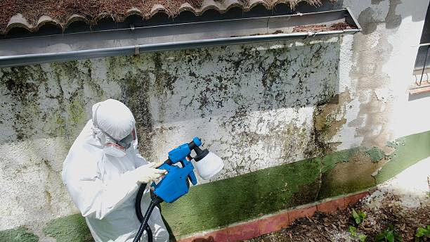 Top rated local Crawl Space Mold Removal specialists in McSherrystown, PA